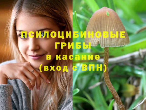скорость Белокуриха