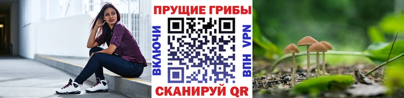 где купить наркоту  мега ТОР  Псилоцибиновые грибы Psilocybe  Дагестанские Огни 