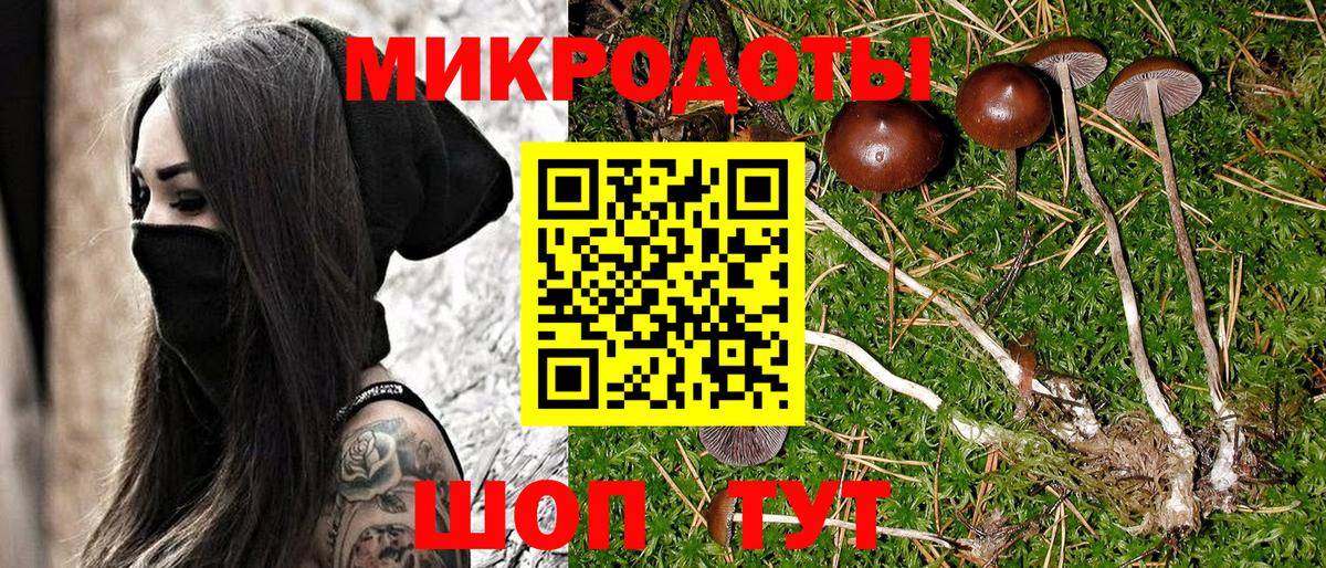 Псилоцибиновые грибы мухоморы  Псилоцибиновые грибы прущие грибы  Дагестанские Огни  Вход с VPN 