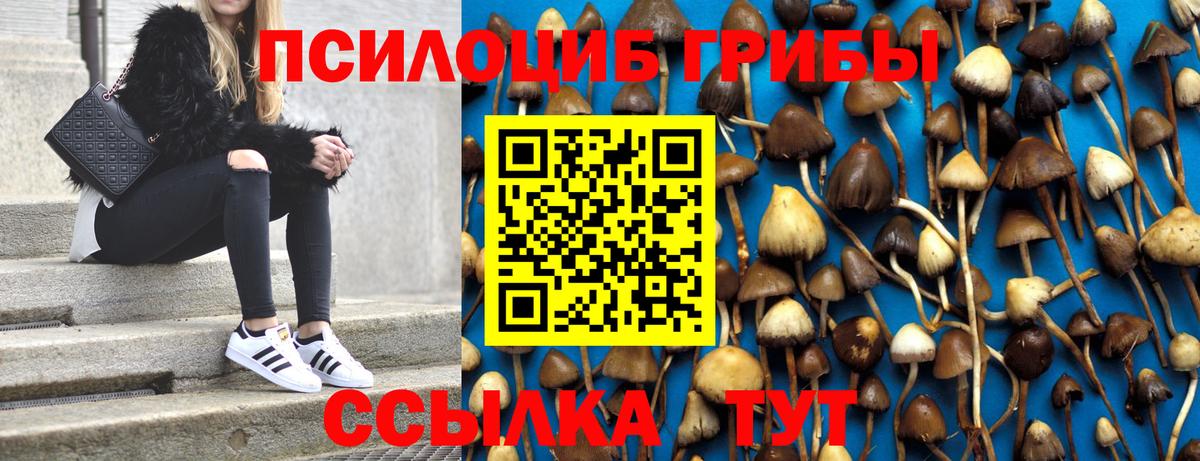 Псилоцибиновые грибы Дагестанские Огни